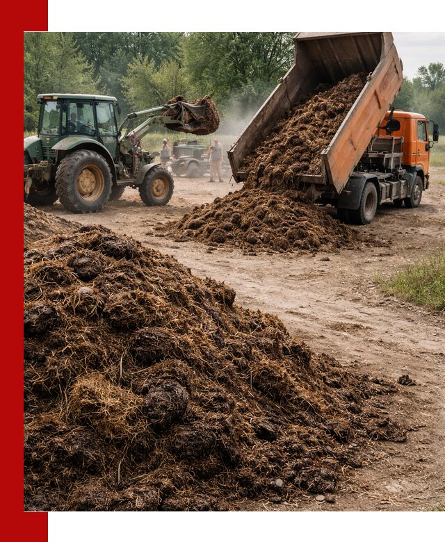 Доставка навоза самосвалами в Пензе для сельхозпотребностей