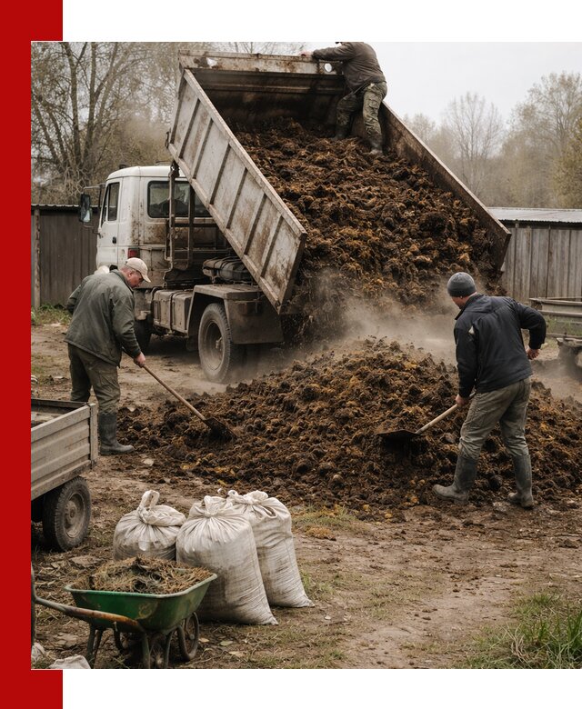 Доставка коровьего навоза самосвалом в Пензе